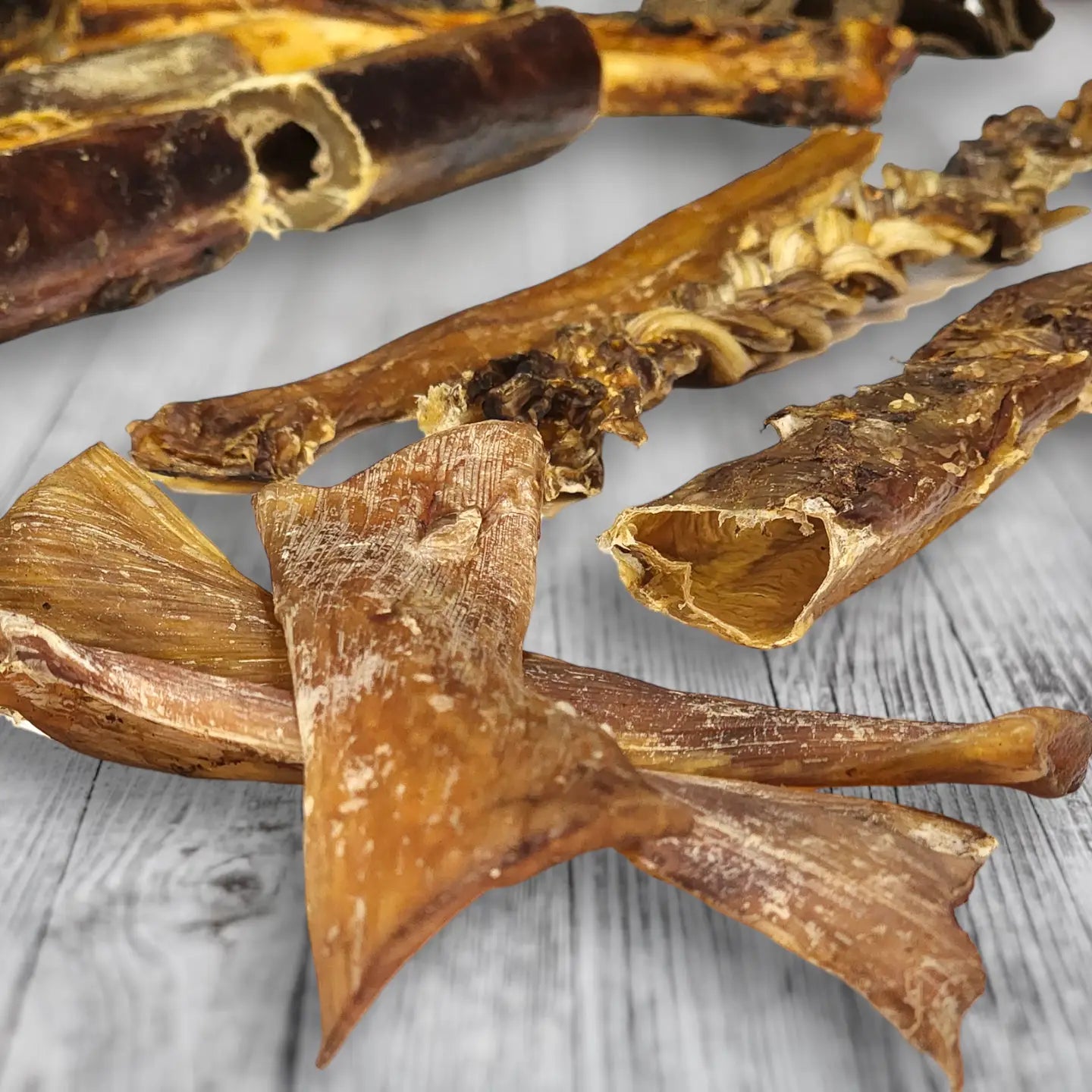Chewy Ostrich Gizzard Strips: The Protein & Omega-3 Rich, Natural Dog Chew Treat