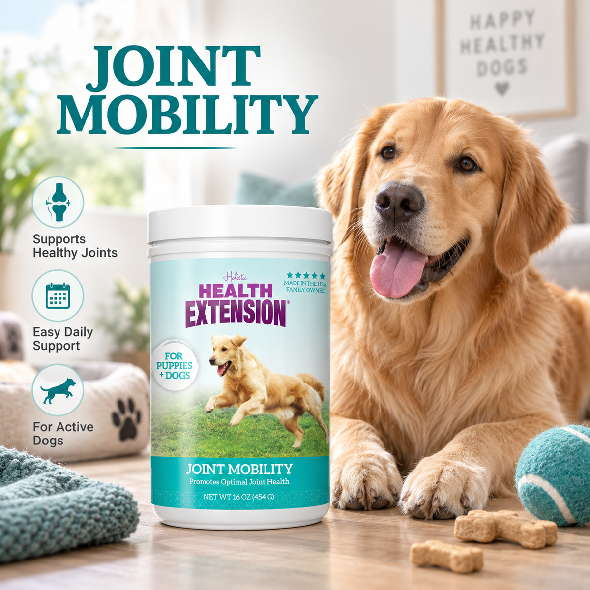 Joint Mobility