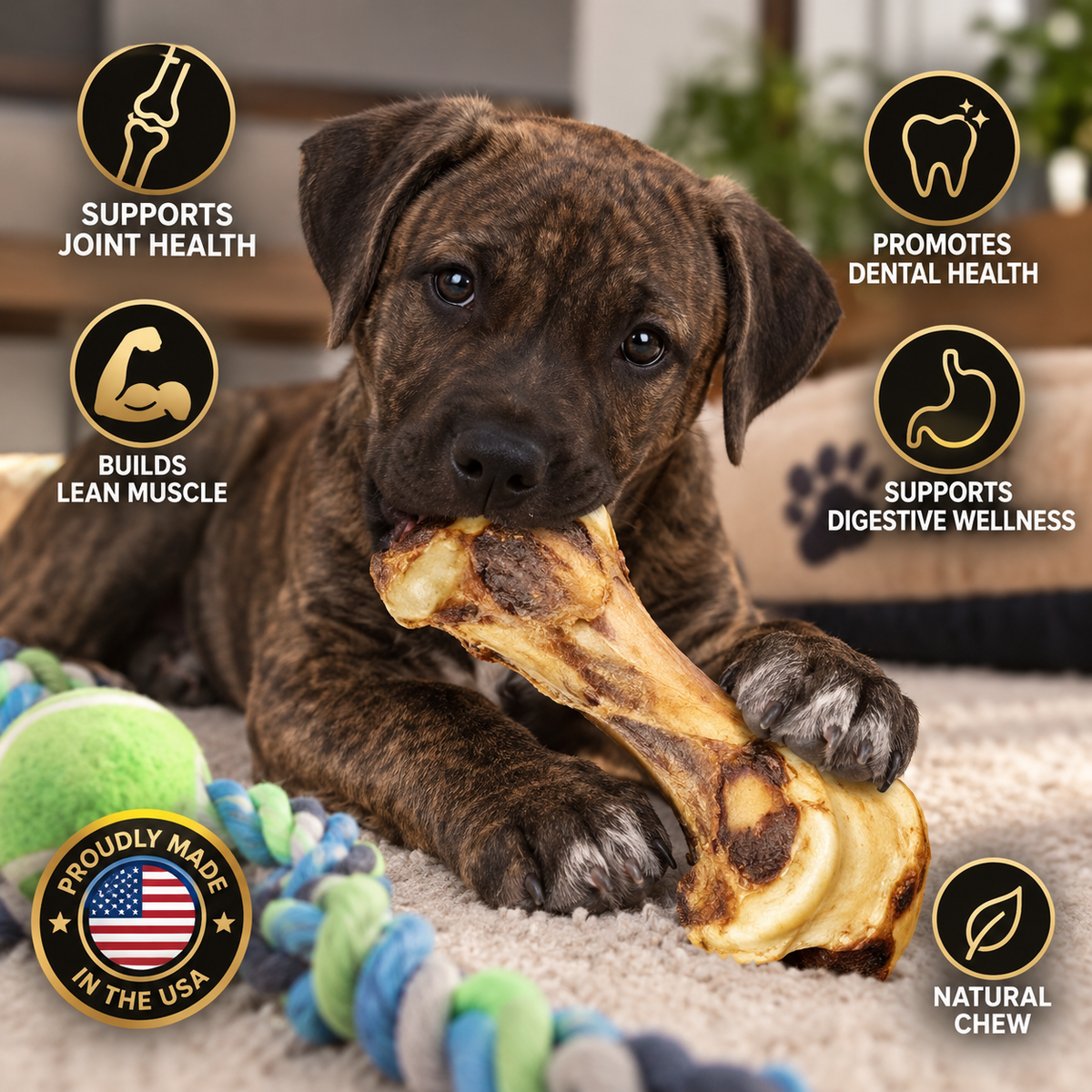 Ostrich Hip Bone : The Durable, Flavor-Packed Chew for Medium & Large Dogs - Pack of 8