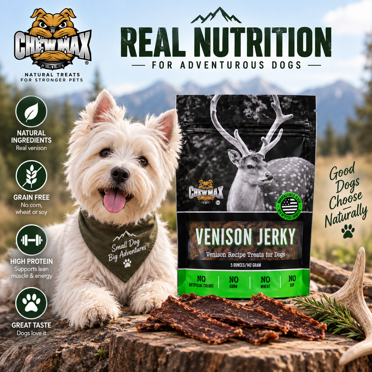 Venison Jerky