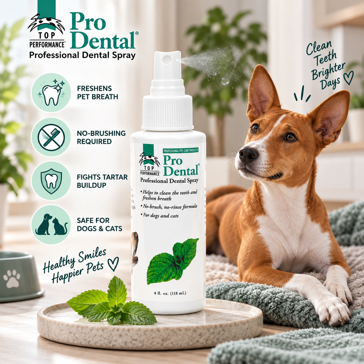 TP ProDental Dental Spray 4oz