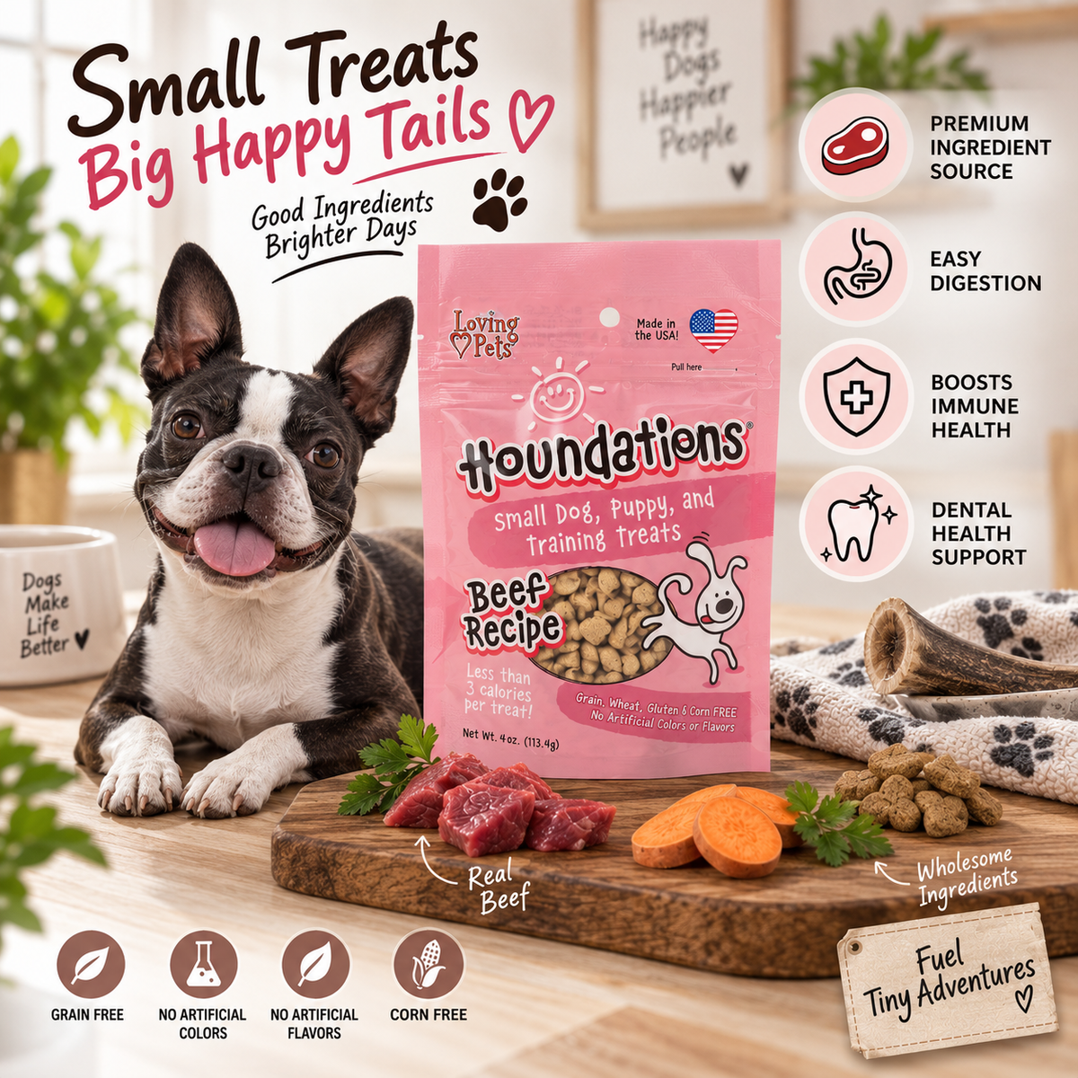 LP Houndations Train Treats Beef 4oz