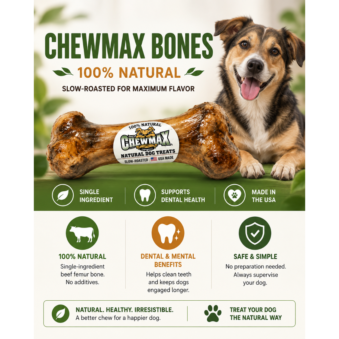 Porky Femur Bone