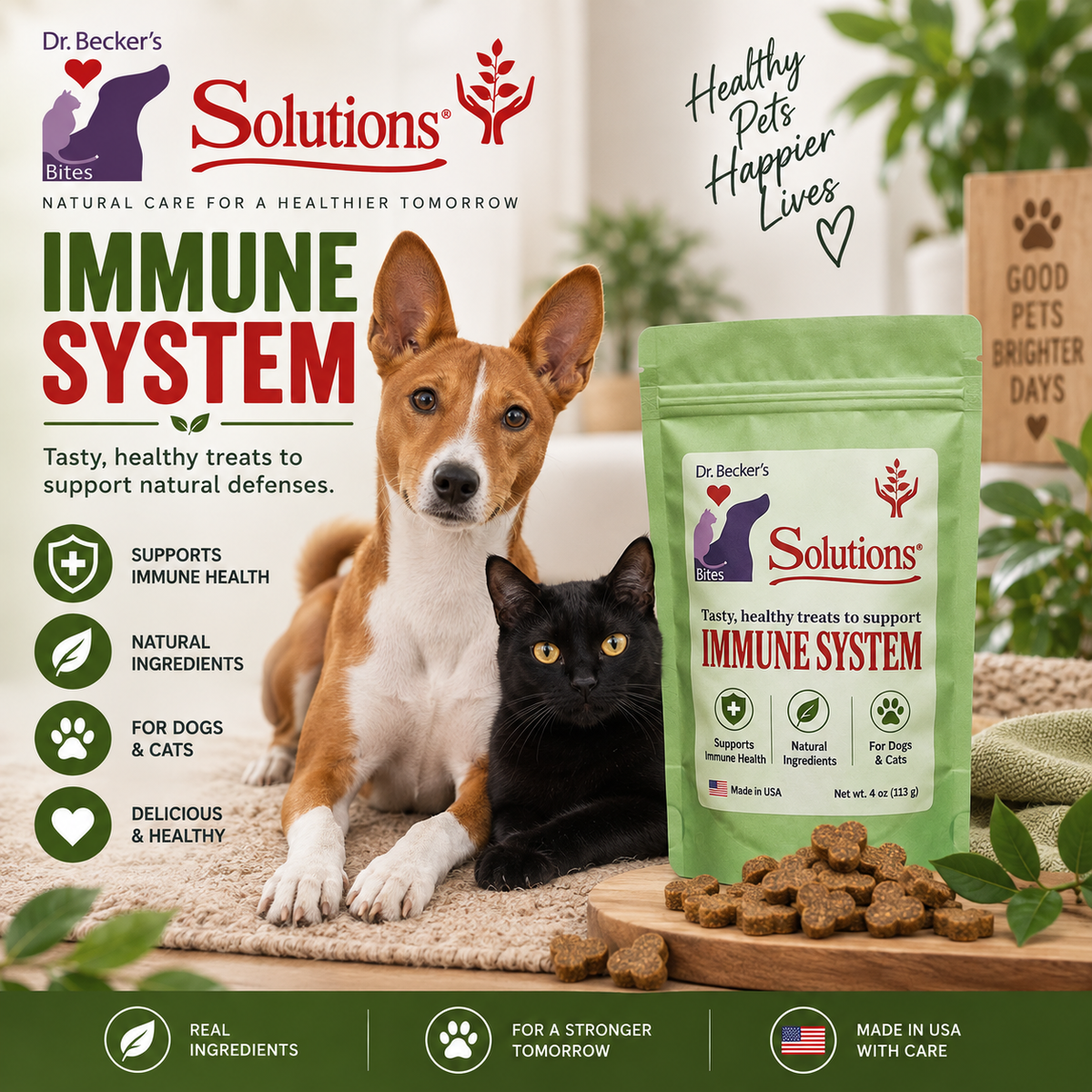 Solutions Bites (6 Different Options Available)