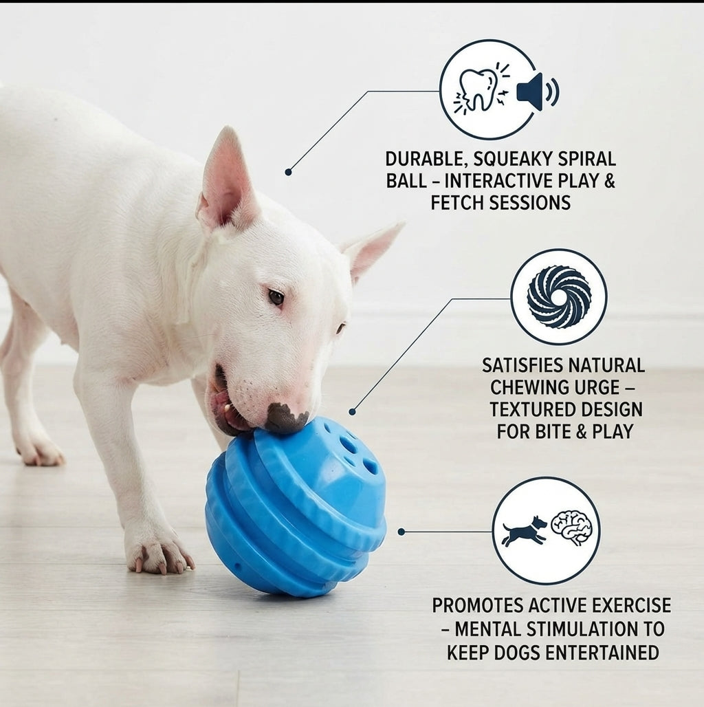 CHP TPR Squeaky Spiral Ball